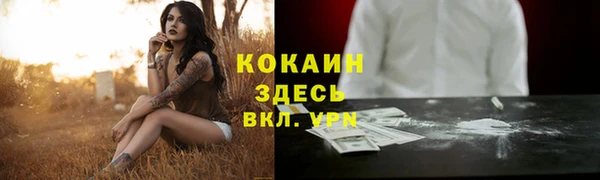 круглые Алексеевка