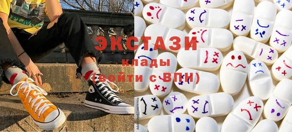 крисы Козельск