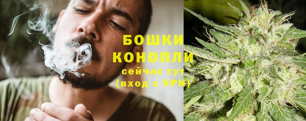 Альфа ПВП Абаза