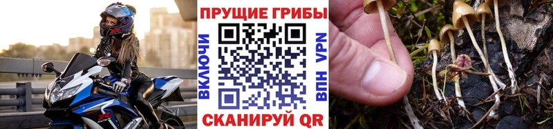 Галлюциногенные грибы ЛСД  закладки  Чулым 
